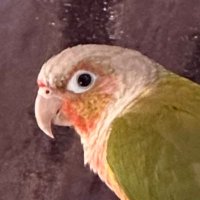 endofthepage (@skull_resonance) 's Twitter Profile