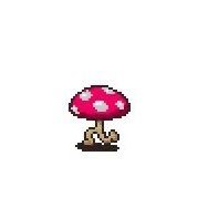 kinoko_runner's profile picture. フルPB2025.3/2東京マラソン3:14:14 🏃🏻STEPN2022/6/1〜🍄2024.11月〜STEPNGOで毎日走ってます！ジェネシス買ったらそこから原資回収を目指す！それ以外→マザー2、ウイスキー、発酵モノ全般、SF、アニメ、マンガ好き❤️