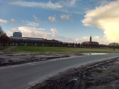 HedgingBoy's profile picture. 