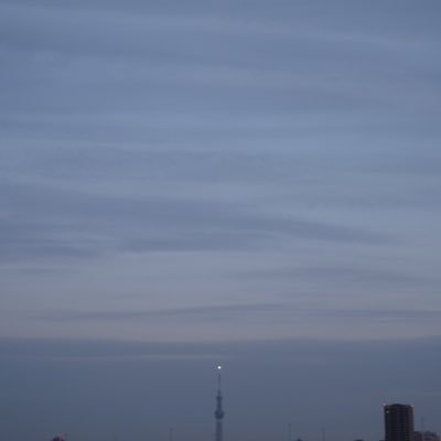 Sahokyun's profile picture. 