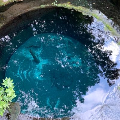お水さんのプロフィール画像