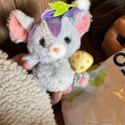 kusakavekun's profile picture. 通常垢(推しの話もし交換垢としても使用しています。)