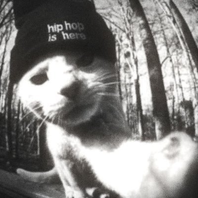 kitsxu's profile picture. yoo?