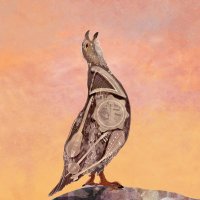 Kuş Kolektifi (@kuskolektifi) 's Twitter Profile Photo