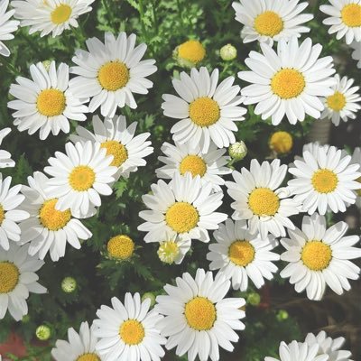 セカイ (@kzncstyy) / Posts / X