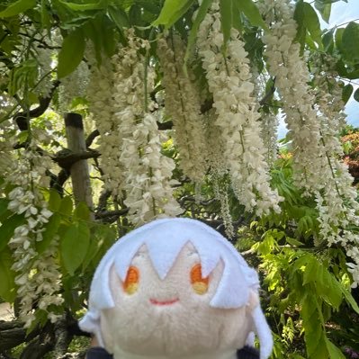 ミントさんのプロフィール画像
