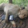 zodonoghue8's profile picture. Depressed sports fan
