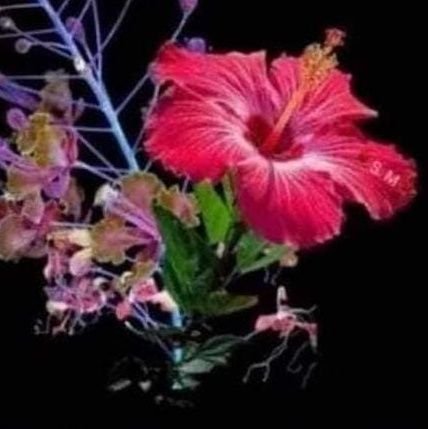 DharamS36441560's profile picture. Honesty is the best policy