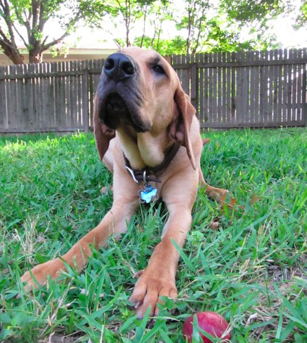 amydsolberg's profile picture. Photographer, media nerd, backyard farmer wannabe.