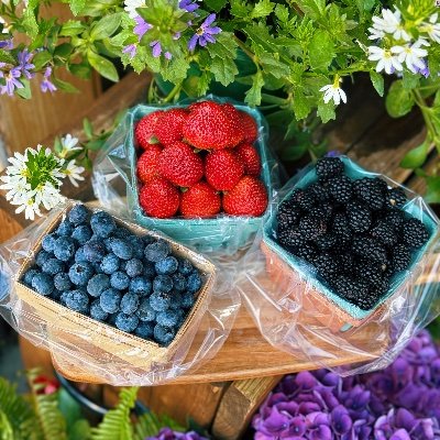 Come visit us for the freshest produce around! We are open year round Mon.-Sat. 8-8 Sun. 9-6.