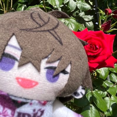 琉那さんのプロフィール画像