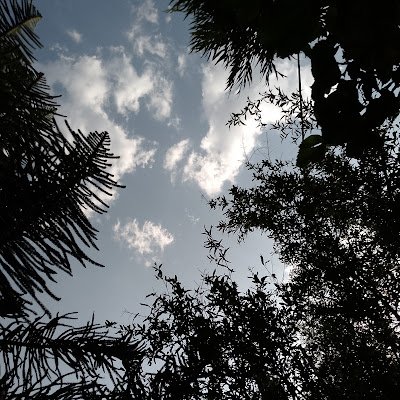 A_y187295's profile picture. 