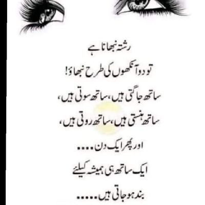 shahrukhqamar62's profile picture. Humble, nature lover, sports and entertainment