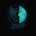 OWL (@wayfarerlabs) Twitter profile photo OWL (@wayfarerlabs) Twitter profile photo