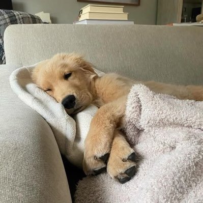 mmmmmmunkmink7's profile picture. 