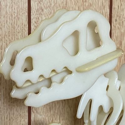 heisei_donekura's profile picture. おもちゃ屋の現役店長。懐古厨をこじらせているので2004年前後までの平成レトロなおもちゃや本、CD等を集めて発信していきます。ハードオフ全店制覇目指してます！