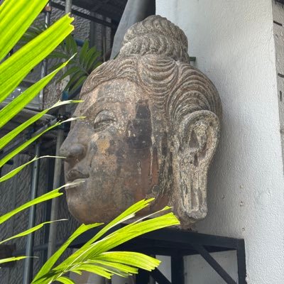 ai4pde's profile picture. 