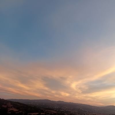 Galy_shz's profile picture. 