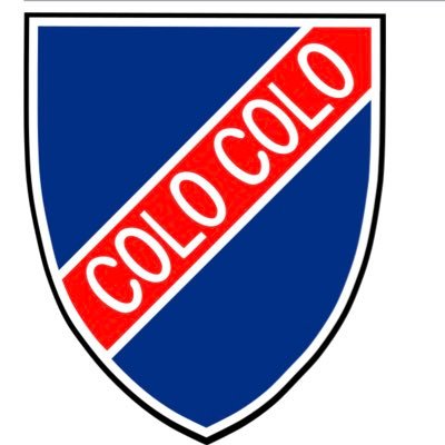 24. Hincha de Colo-Colo, el único grande de Chile.