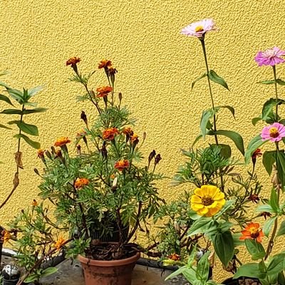 anacmgt's profile picture. 