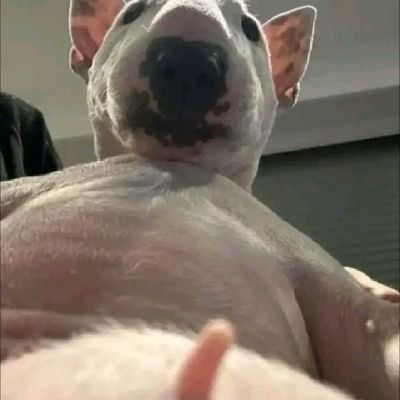 cianndex's profile picture. hustling ~ 17 y/o, civil engineering student, trying to survive the trenches