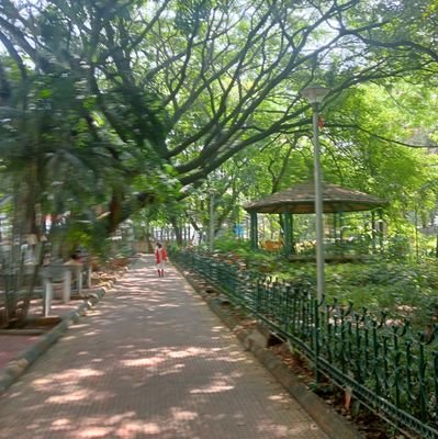 Bengankunte's profile picture. Parody. 
Armchair Urbanist.