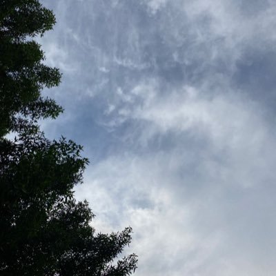 astsharaty's profile picture. ..