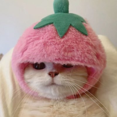 taikocharmer's profile picture. こんばんは。ツイ廃です。