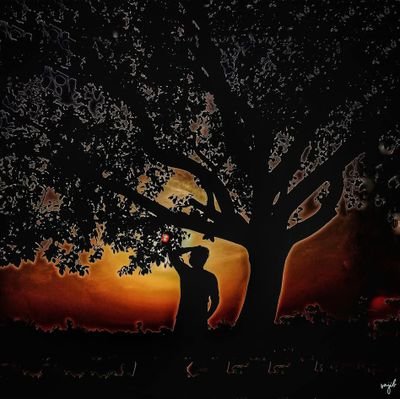 sajib_on_x's profile picture. 