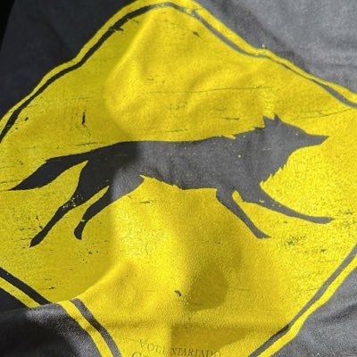 bruno_dgz's profile picture. 