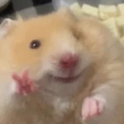 พีชแบ ꒰ ¨̮ ꒱⸝さんのプロフィール画像