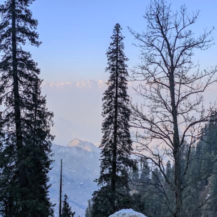 altmewtwo93003's profile picture. Mia san mia