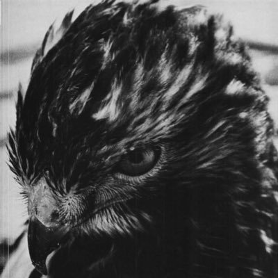 SiosySN's profile picture. Building Things Online | Canary Piston