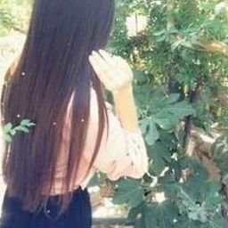 Carqou975265's profile picture. 