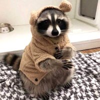 йинотег свеженький🔞🇷🇺 (@xixlopidary) 's Twitter Profile Photo йинотег свеженький🔞🇷🇺 (@xixlopidary) 's Twitter Profile Photo