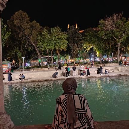 misafirgezginn's profile picture. 