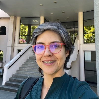 Estudiante de doctorado Universidad de Talca/ @obradordigital / Columnista en @elmercuriolegal