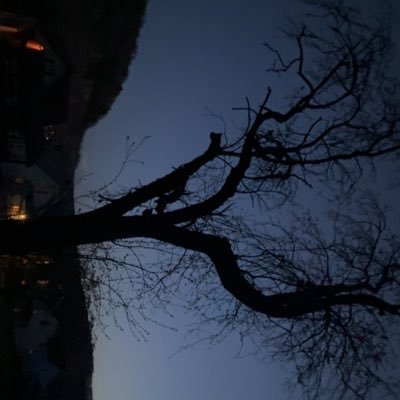 p_eyton666's profile picture. 
