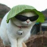 Ayelin008's profile picture. ...