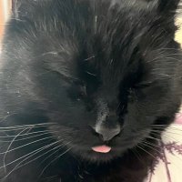 Lacie 💜 (@sweetz0315) 's Twitter Profile