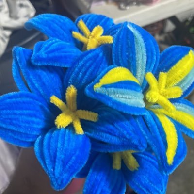 Josemares862562's profile picture. 