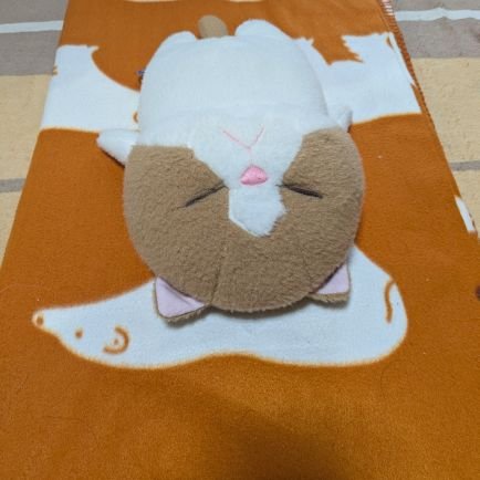 saori_booknote's profile picture. 読書記録