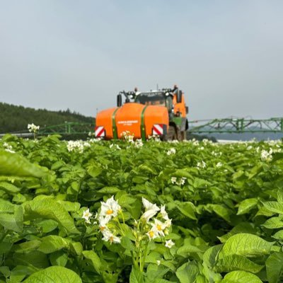 multigrowcapitals is an online crowdfunding platform that gives interested members of the public an opportunity to invest in Agriculture.real estate, stocks