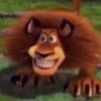 mayapatel__'s profile picture. 