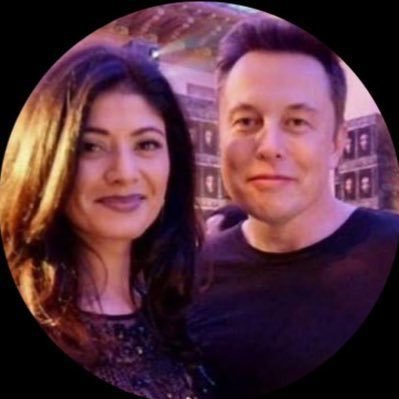Protecting Elon Musk's online presence from impersonators is my top priority, leveraging my cybercrime expertise to safeguard his digital identity
