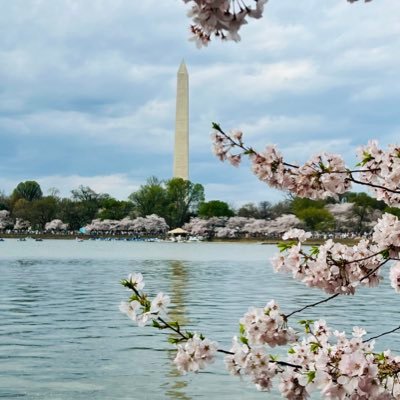 claire_que98179's profile picture. 