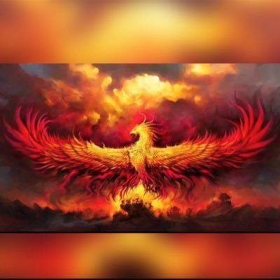 AryaMehr3rd's profile picture. 