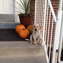 Keith List - @keith_list - Twitter