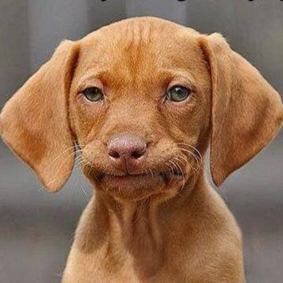 unimpressedbro's profile picture. average takes, below average execution. still holding.
