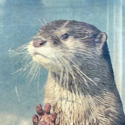 okabetatsuya's profile picture. ありがた企画 代表(ありがたCafe、怪談を語る会など主催)で世話人。ヒーリング研究家。システムエンジニア。趣味：ビリヤード、占い、ヒーリング、怪談、企画など。みなさまに楽しんで頂ける企画を計画し運営まで行っています。お手柔らかによろしくお願い致します。